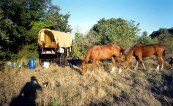 unser Mobilhome